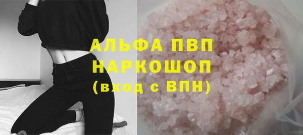 стаф Алексин