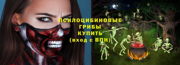 стаф Алексин
