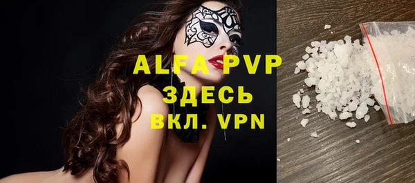 стаф Алексин